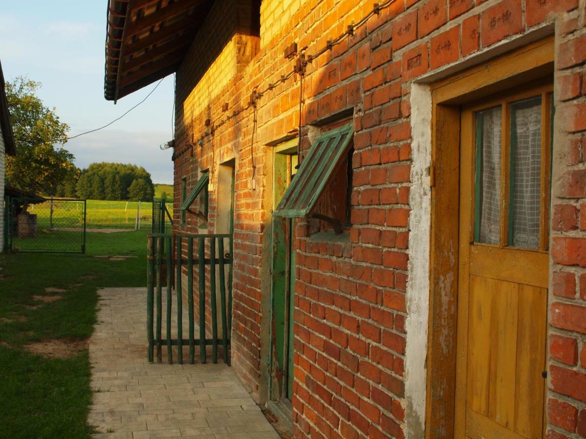 Wakacje U Babci Krysi Gorno  Buitenkant foto